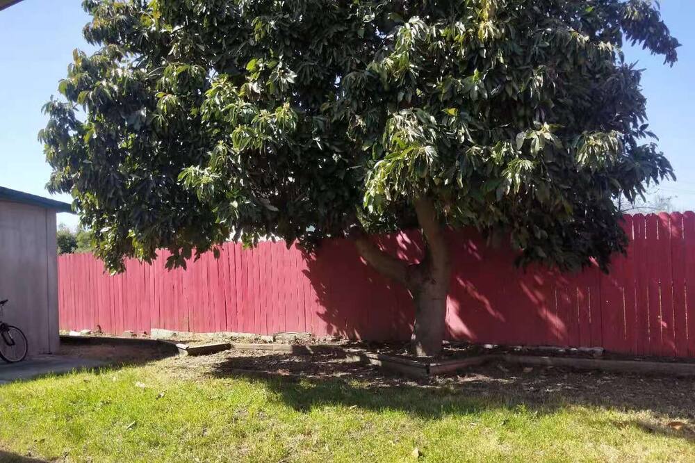 Photo of Outdoor in Union City