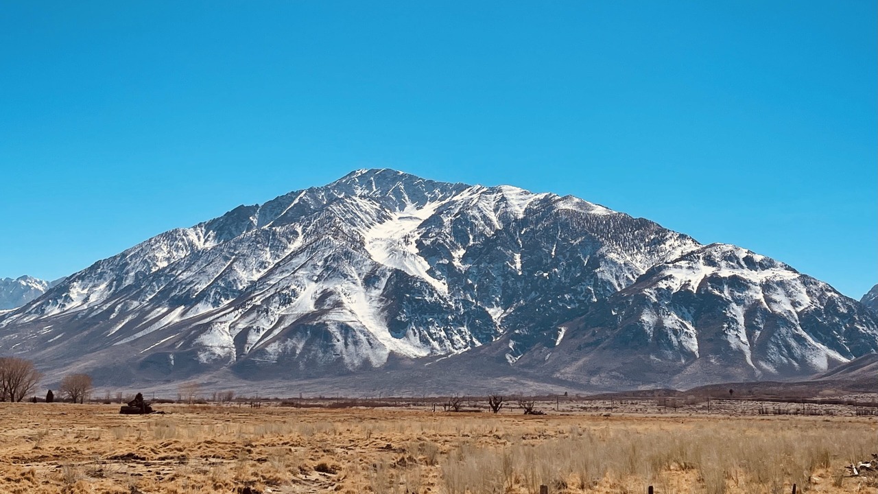 Photo of Others in Bishop