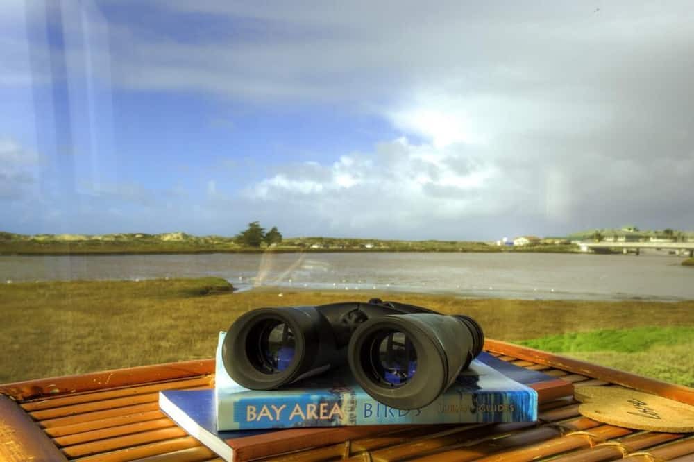 Photo of Others in Moss Landing