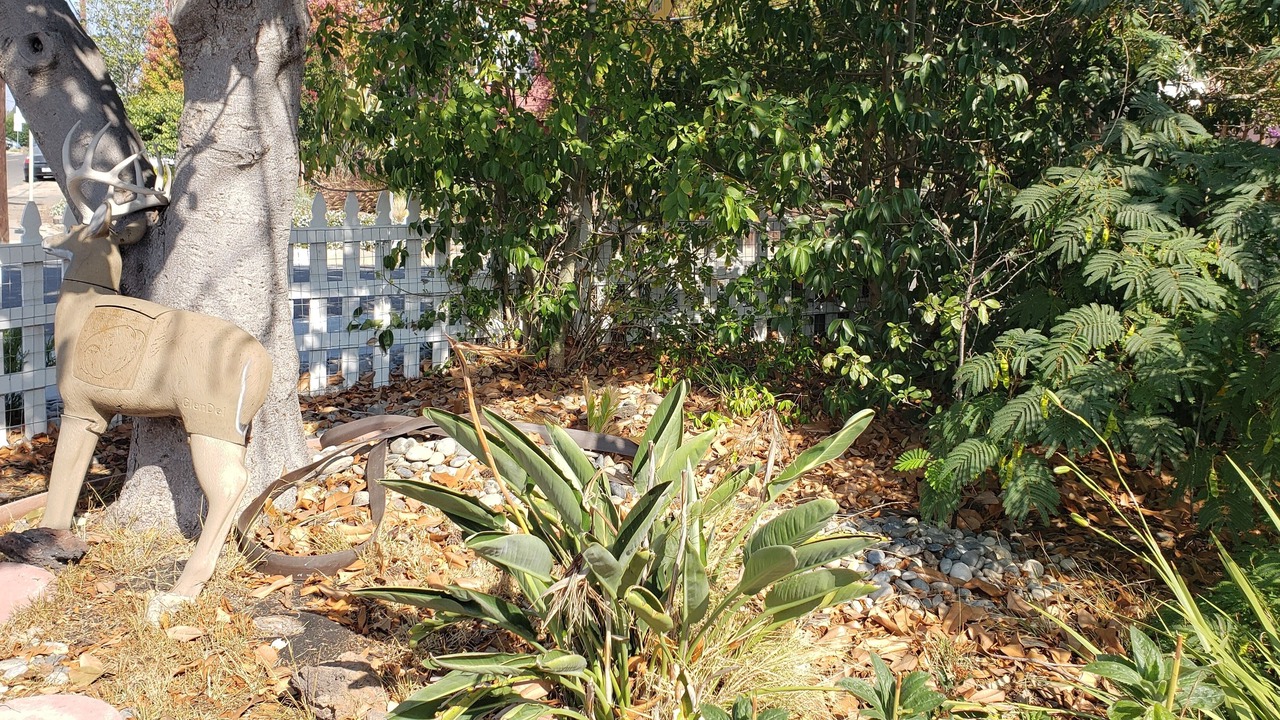 Photo of Outdoor in San Leandro