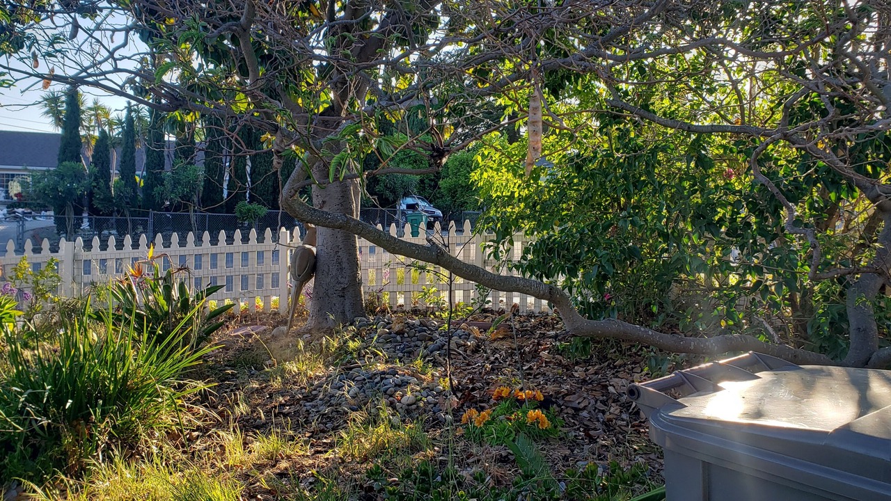 Photo of Outdoor in San Leandro