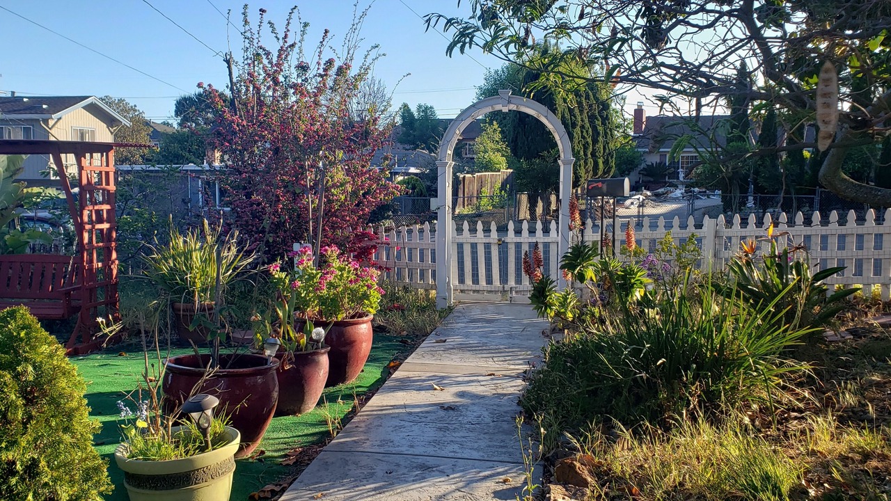 Photo of Outdoor in San Leandro