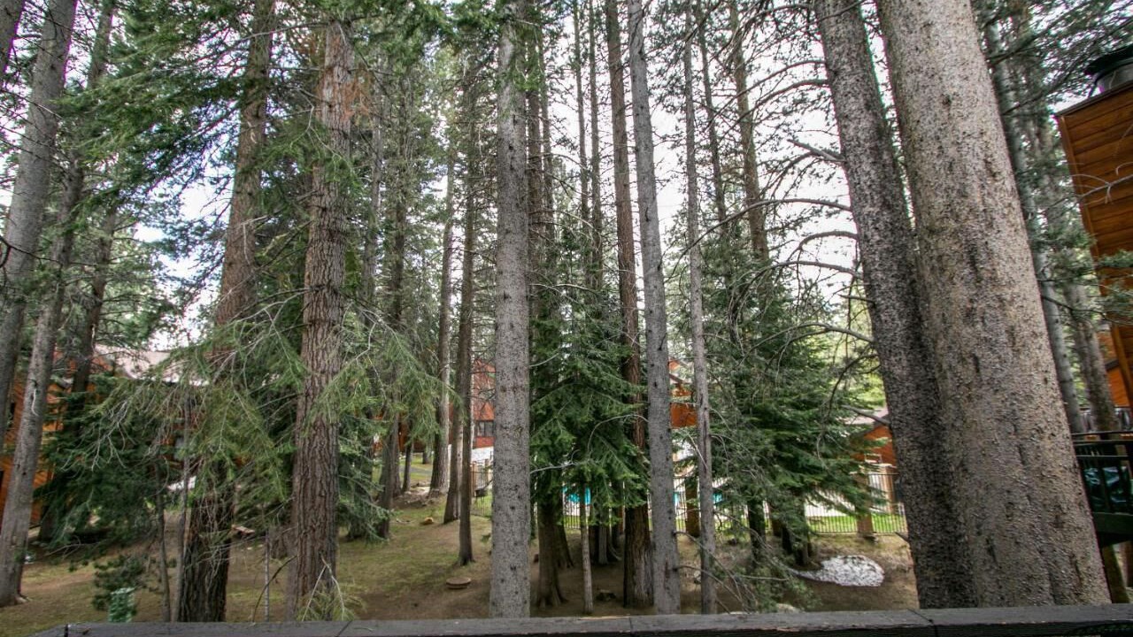 Photo of Outdoor in Mammoth Lakes