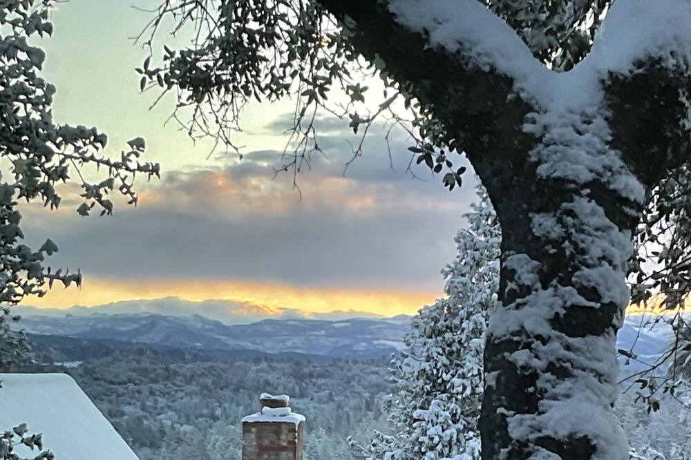 Photo of Outdoor in Groveland