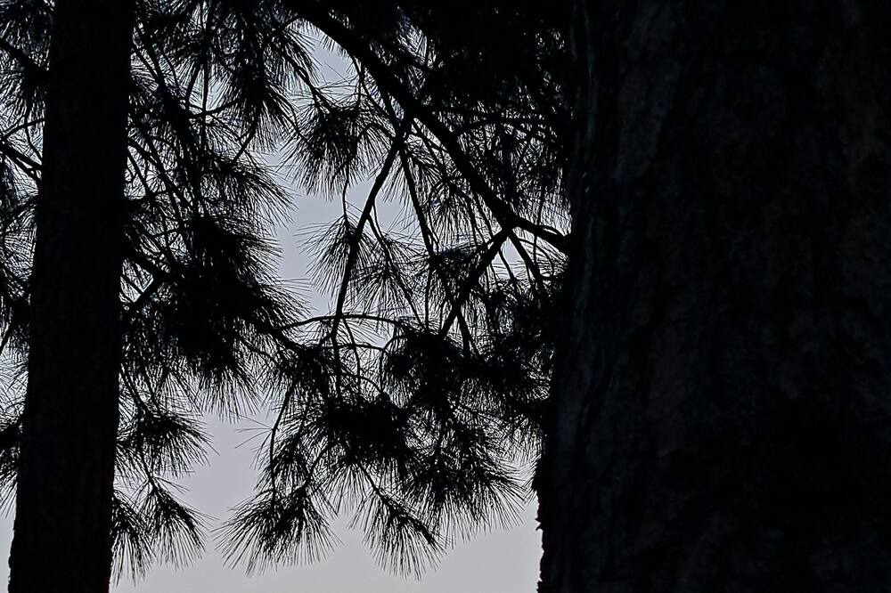 Photo of Outdoor in Groveland