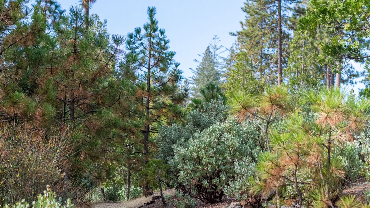 Photo of Outdoor in Groveland