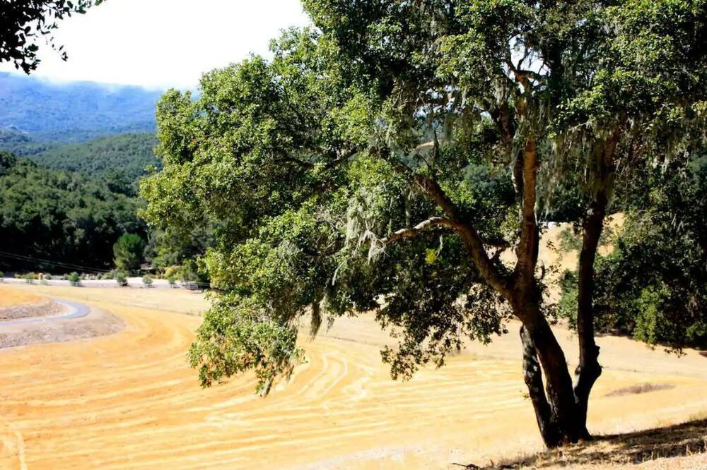 Photo of Outdoor in Paso Robles