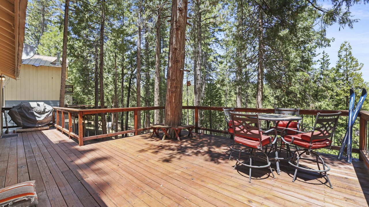 Photo of Outdoor in Cold Springs