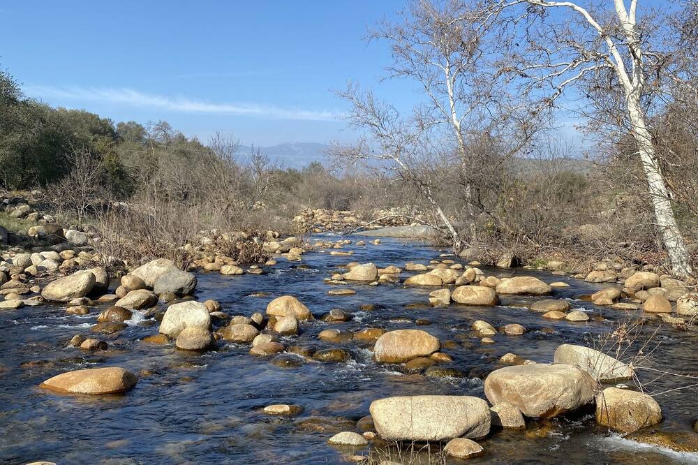 Photo of Others in Springville