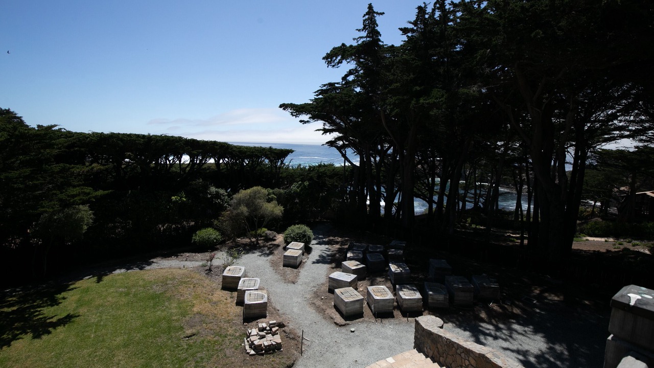 Photo of Outdoor in Carmel Highlands