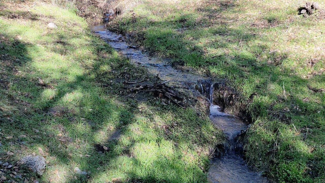 Photo of Others in Oakhurst
