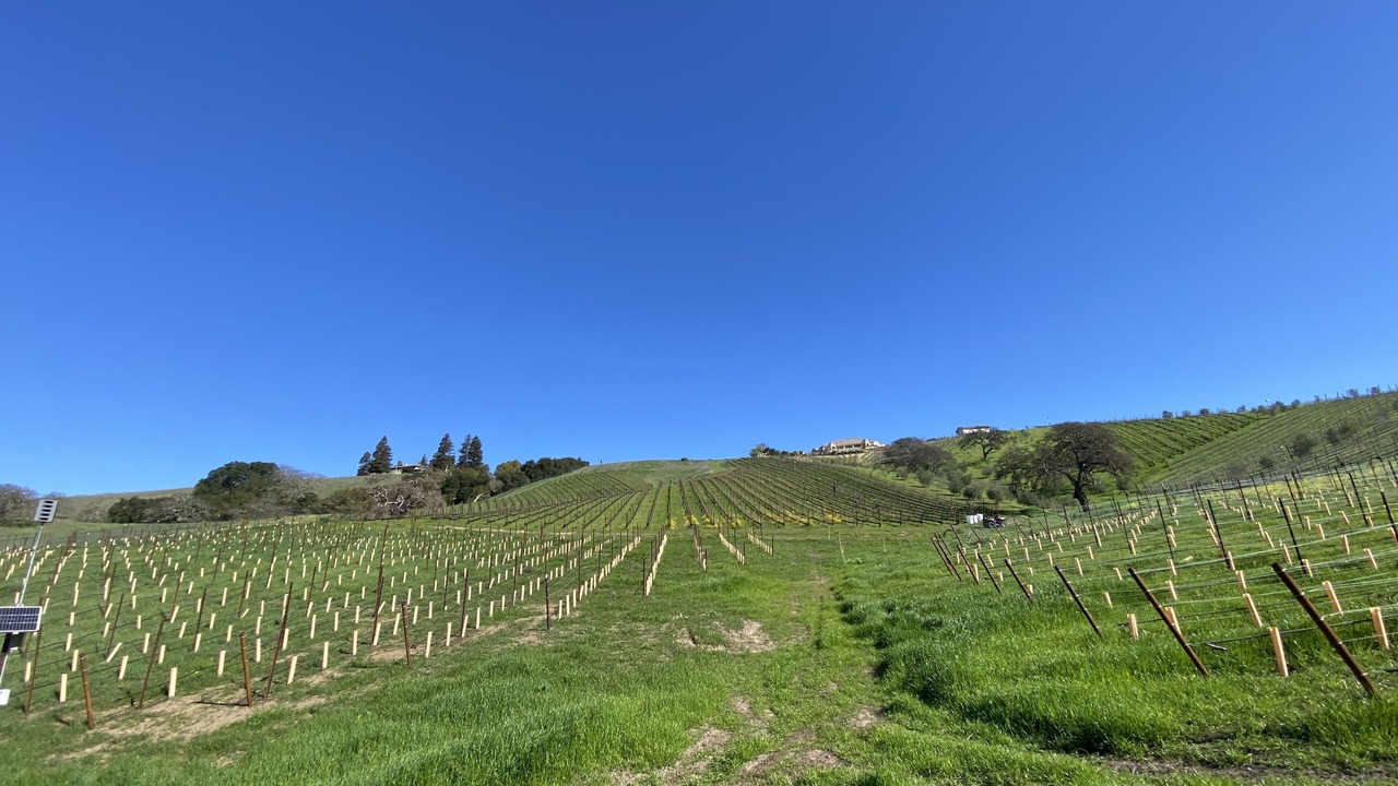 Photo of Outdoor in San Martin