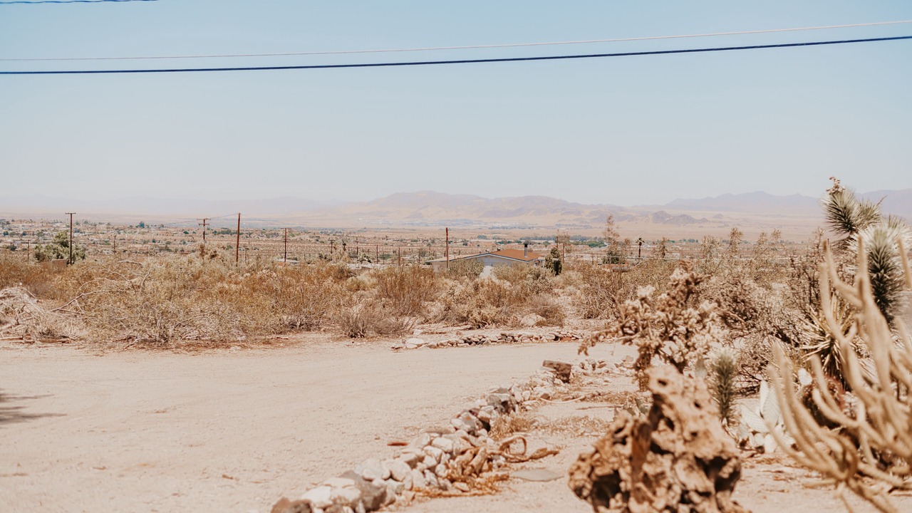 Photo of Others in Twentynine Palms