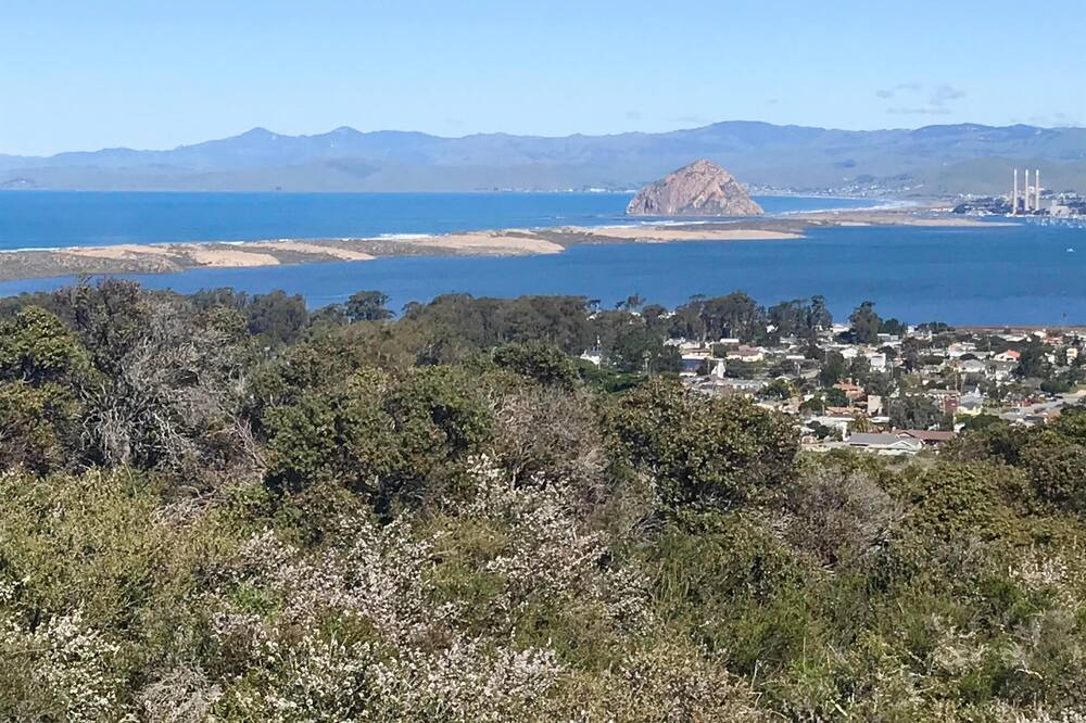 Photo of Bedroom in Baywood-Los Osos
