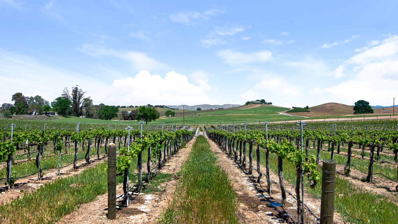 Photo of Outdoor in Paso Robles
