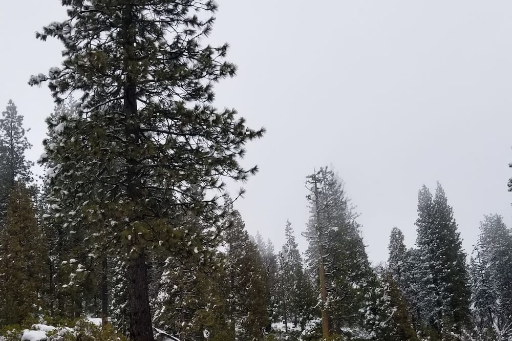 Photo of Outdoor in Strawberry