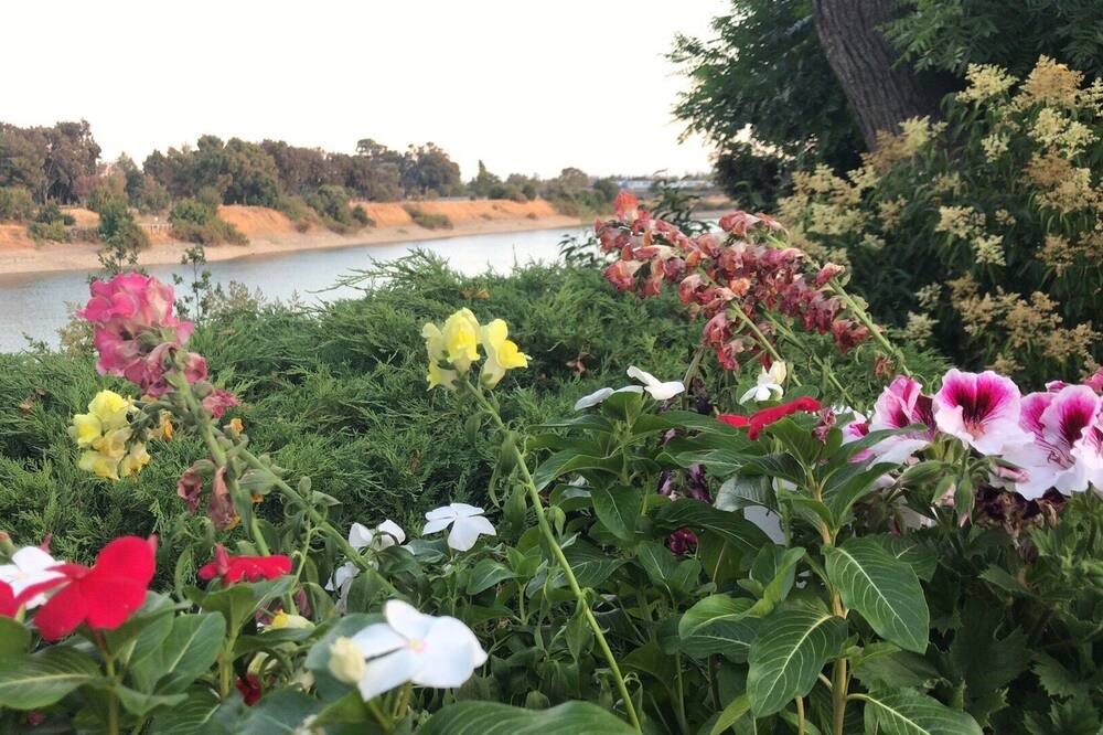 Photo of Outdoor in Niles District