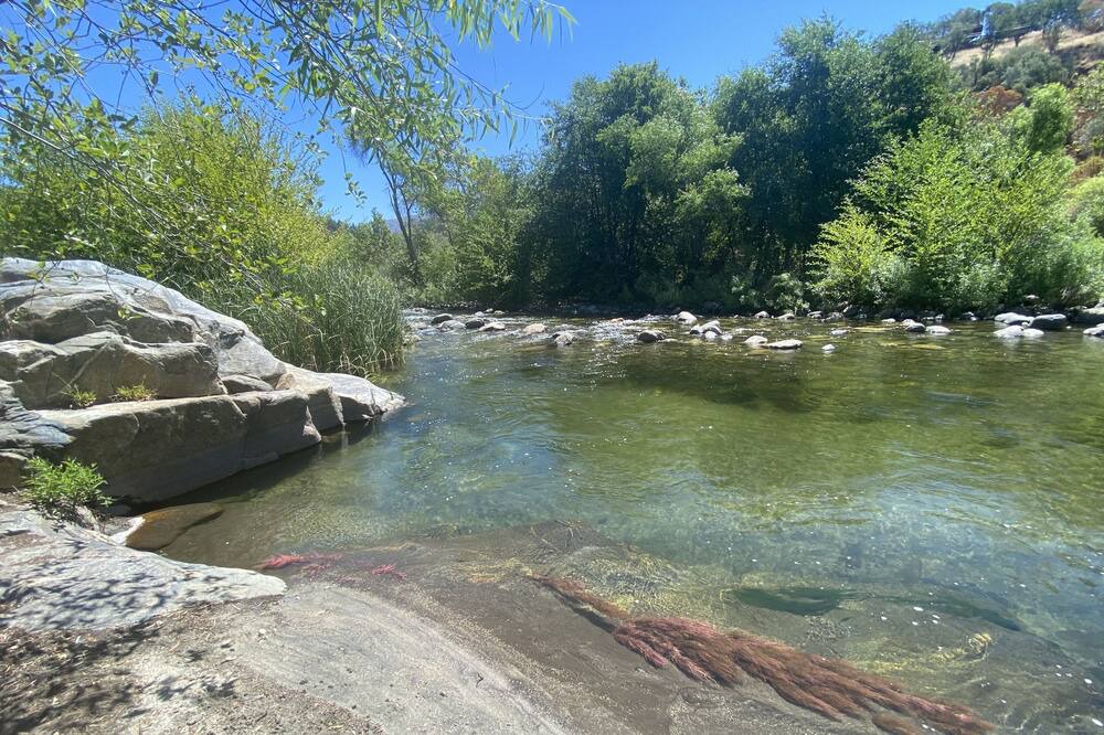 Photo of Others in Three Rivers