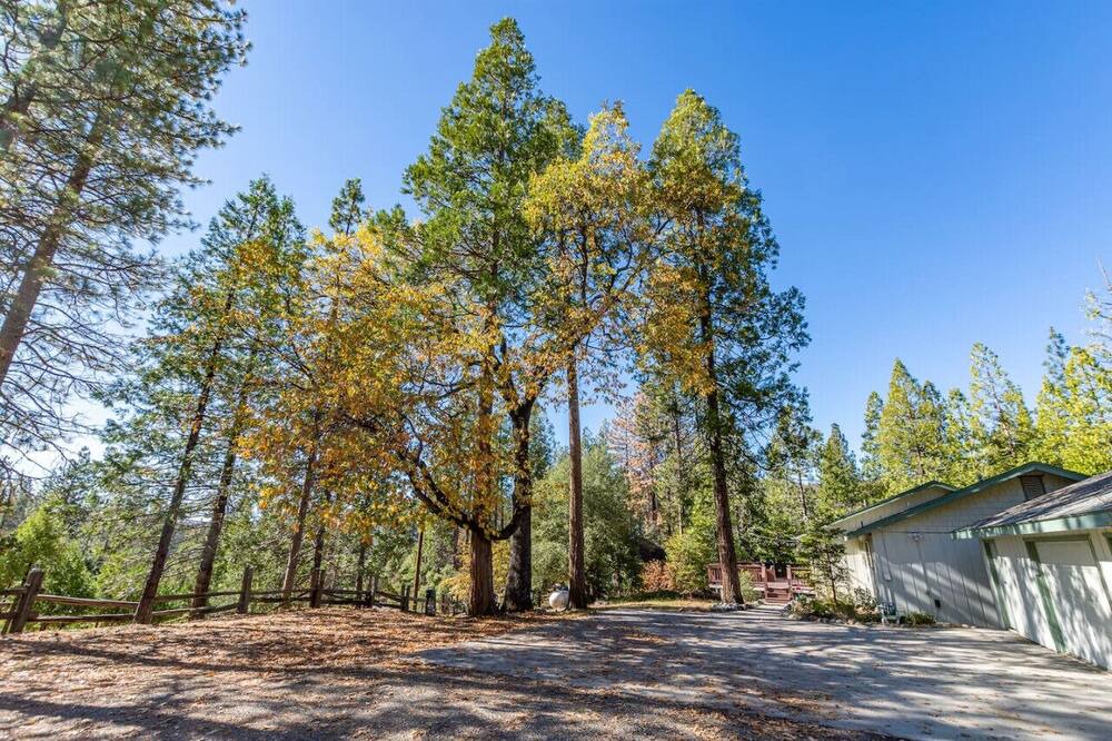 Photo of Outdoor in Oakhurst