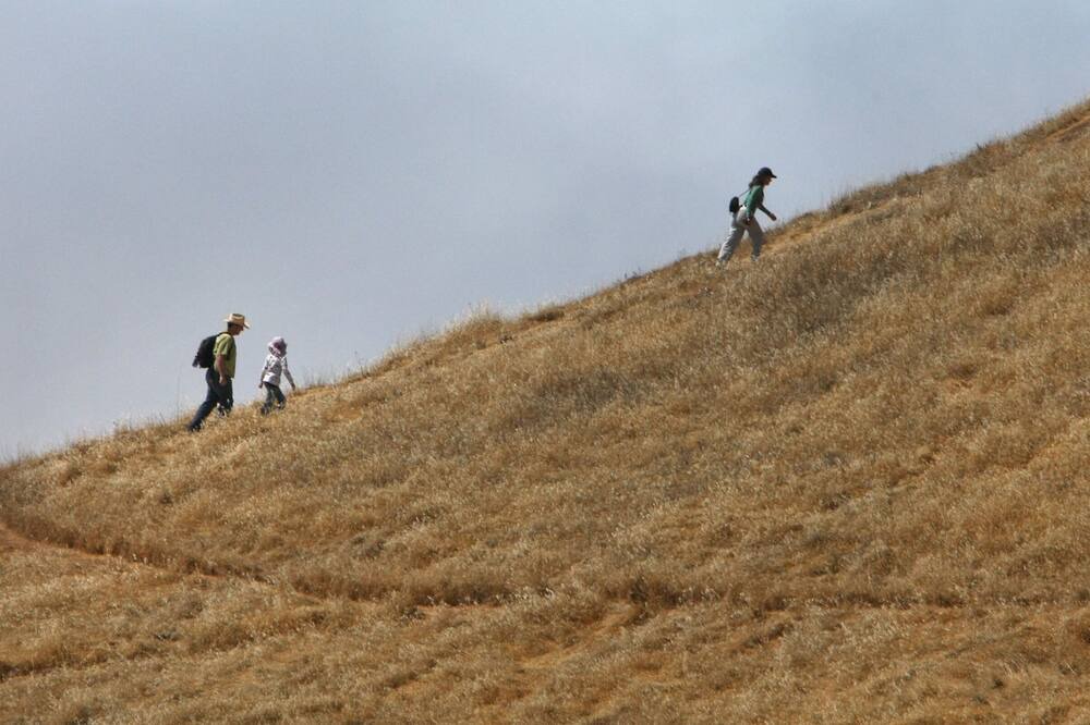 Photo of Outdoor in San Anselmo