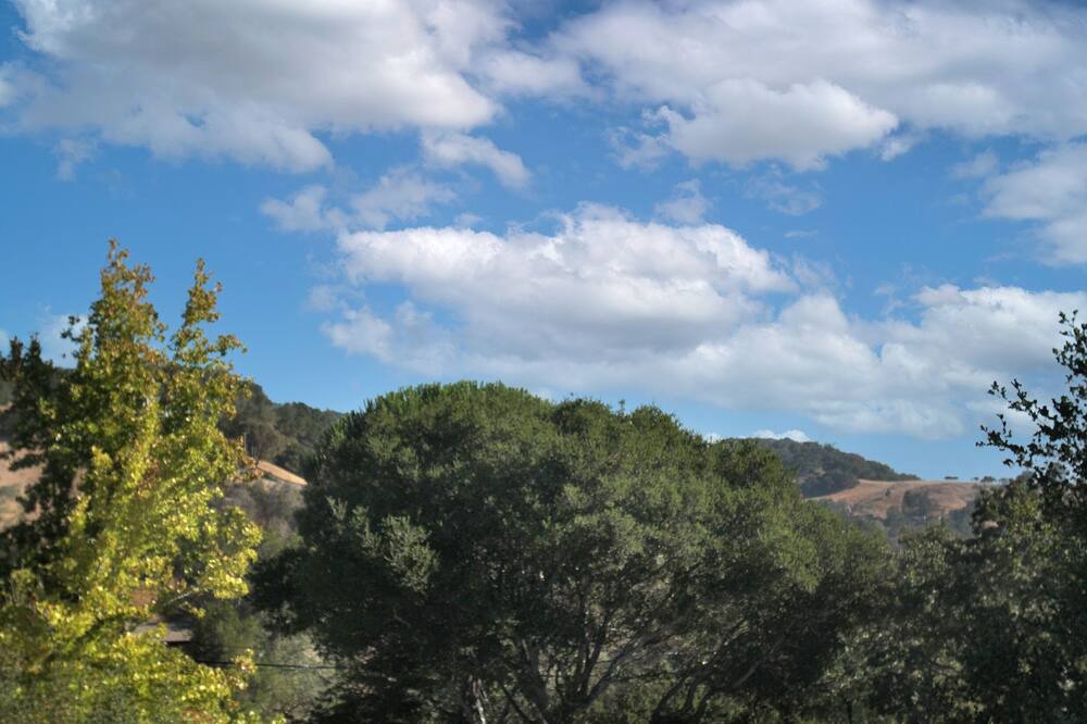 Photo of Outdoor in San Anselmo