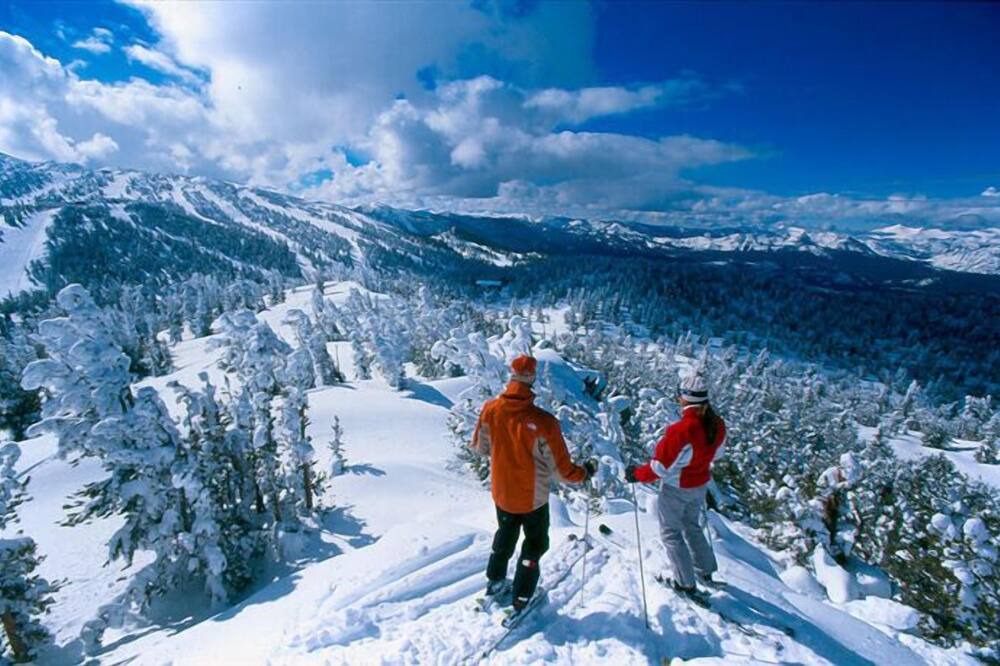 Photo of Others in Tahoe Paradise