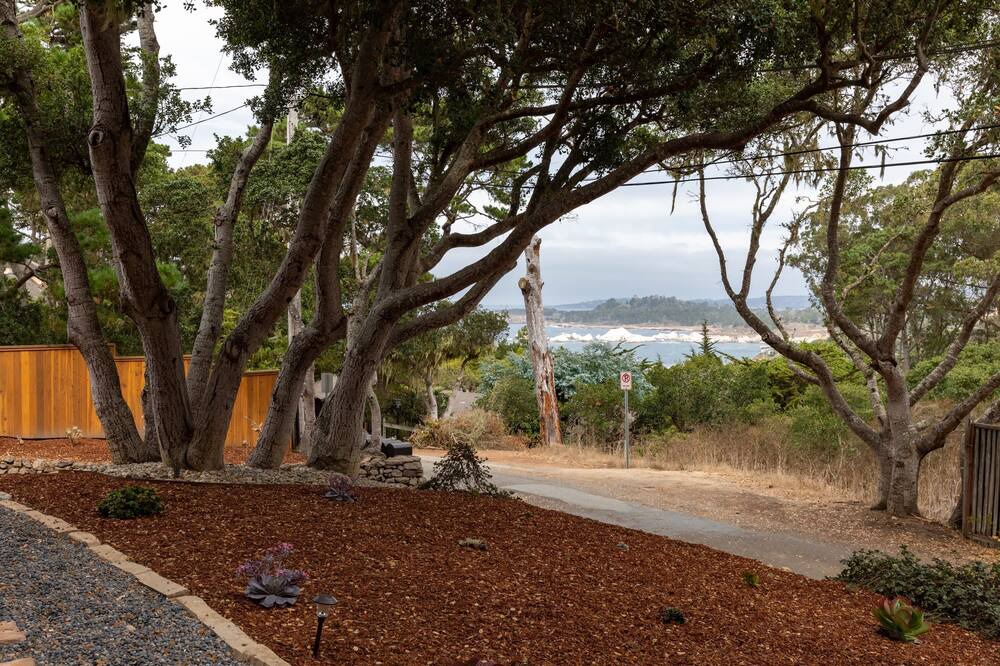 Photo of Outdoor in Carmel Highlands