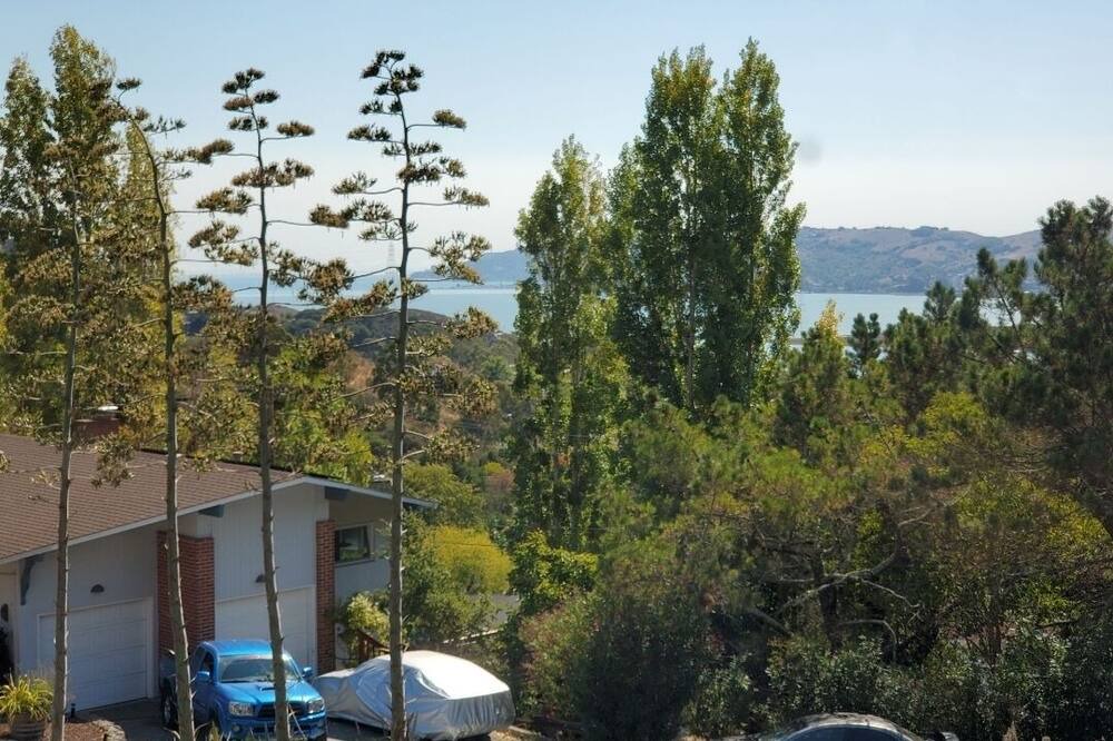 Photo of Others in San Rafael