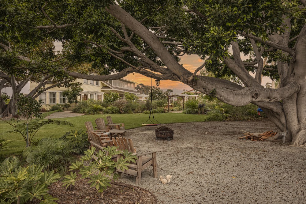 Photo of Others in Lincoln Acres