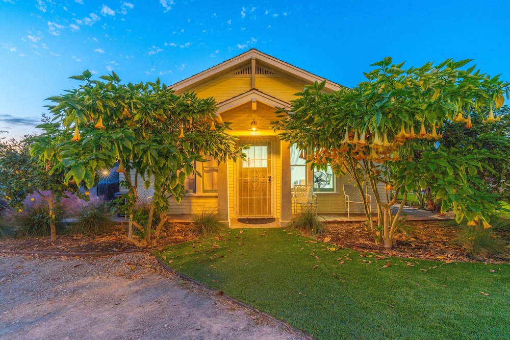 Photo of Outdoor in Lincoln Acres