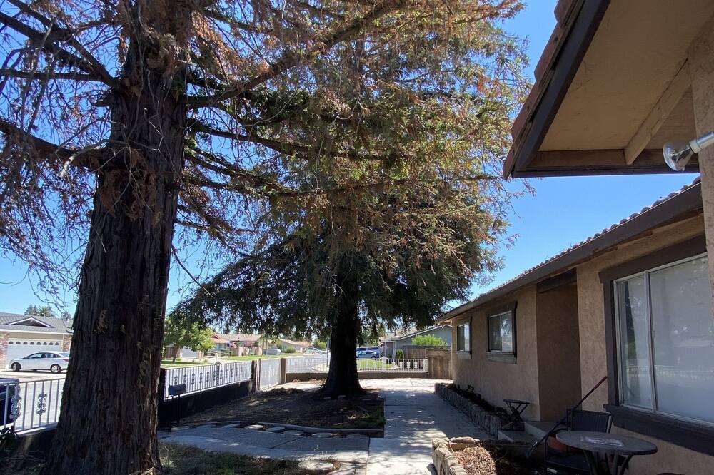 Photo of Outdoor in Turlock