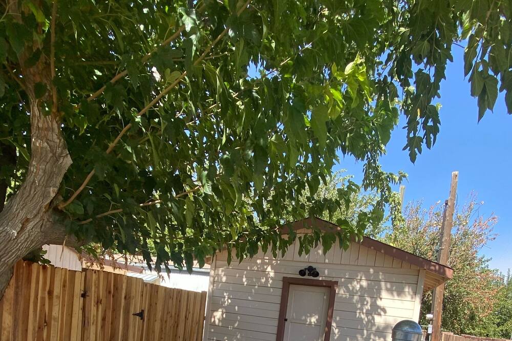 Photo of Outdoor in Lake Isabella