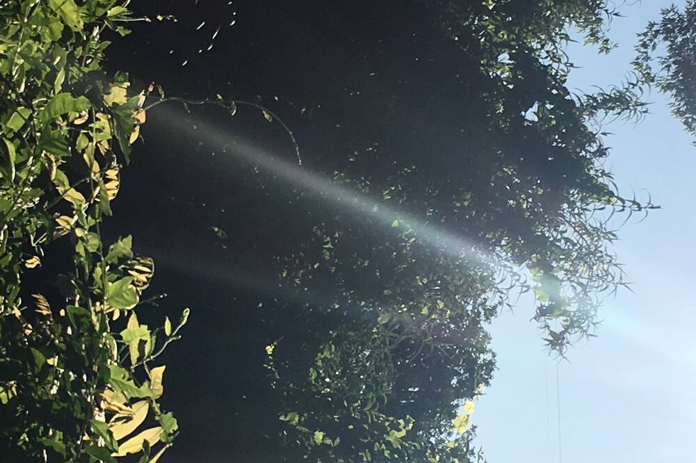 Photo of Outdoor in Orangevale