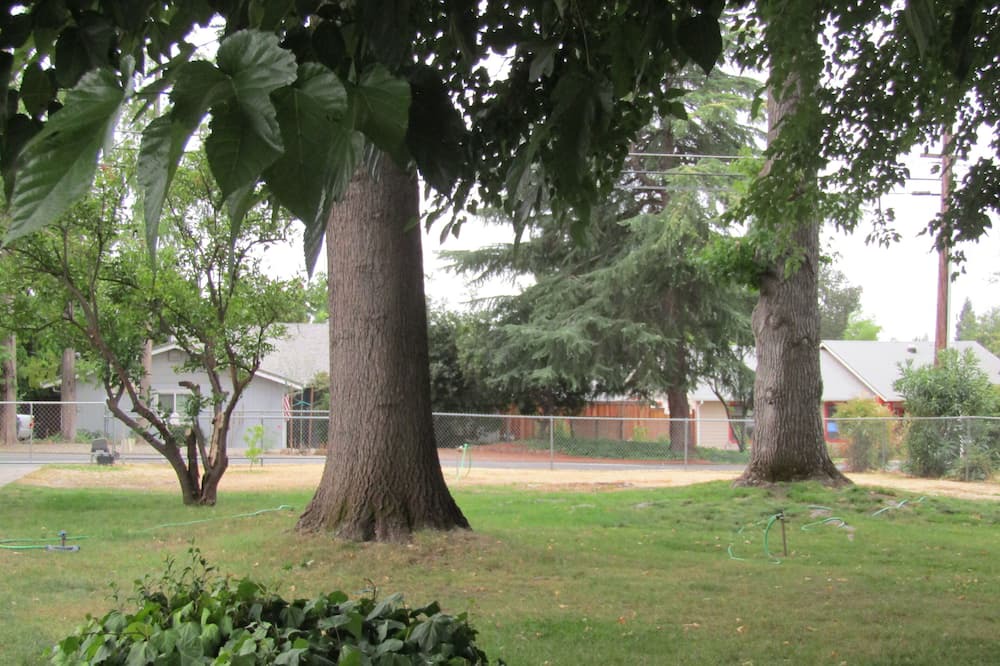 Photo of Outdoor in Orangevale