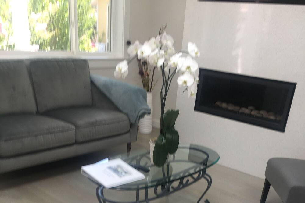 Photo of Livingroom in Santa Venetia