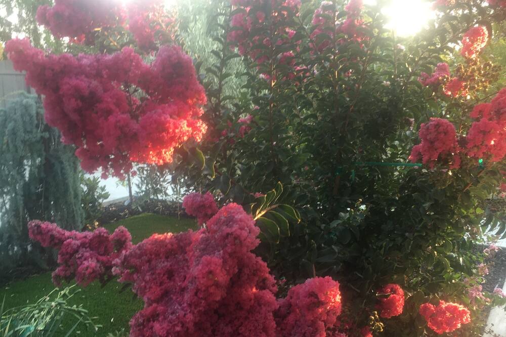 Photo of Outdoor in Santa Venetia