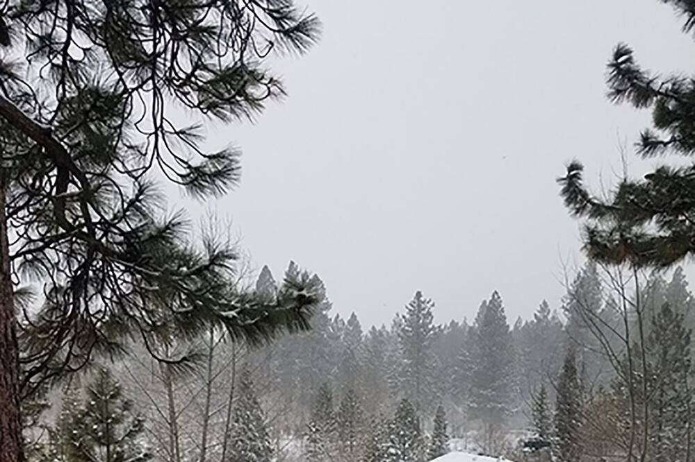 Photo of Others in Incline Village