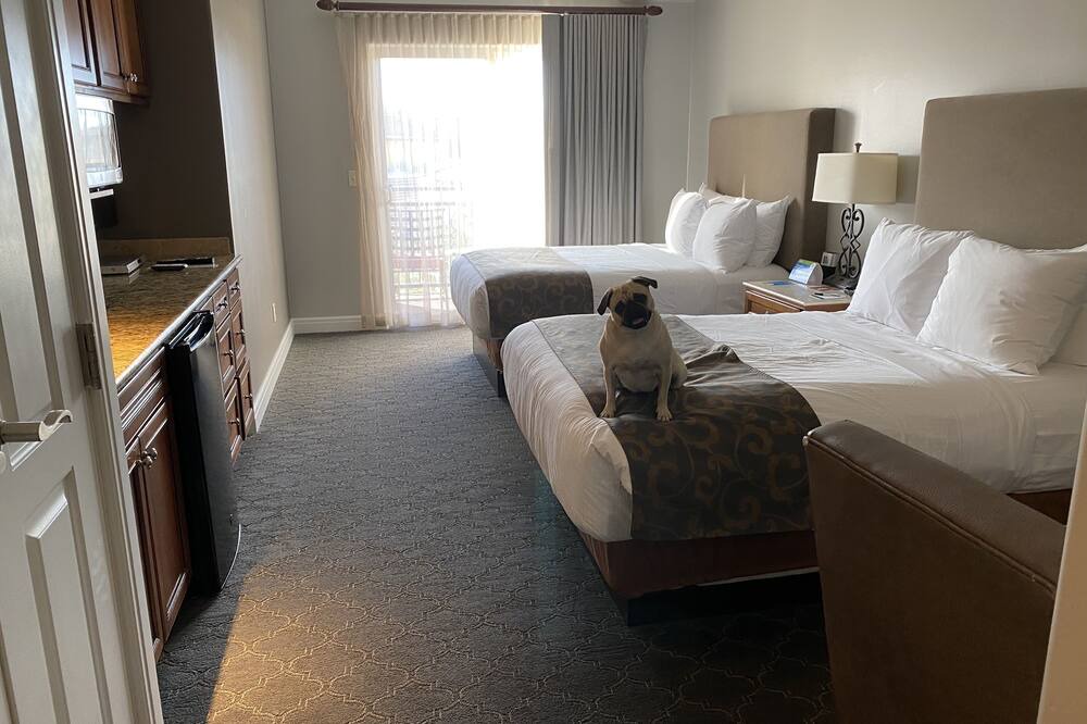 Photo of Bedroom in Napa