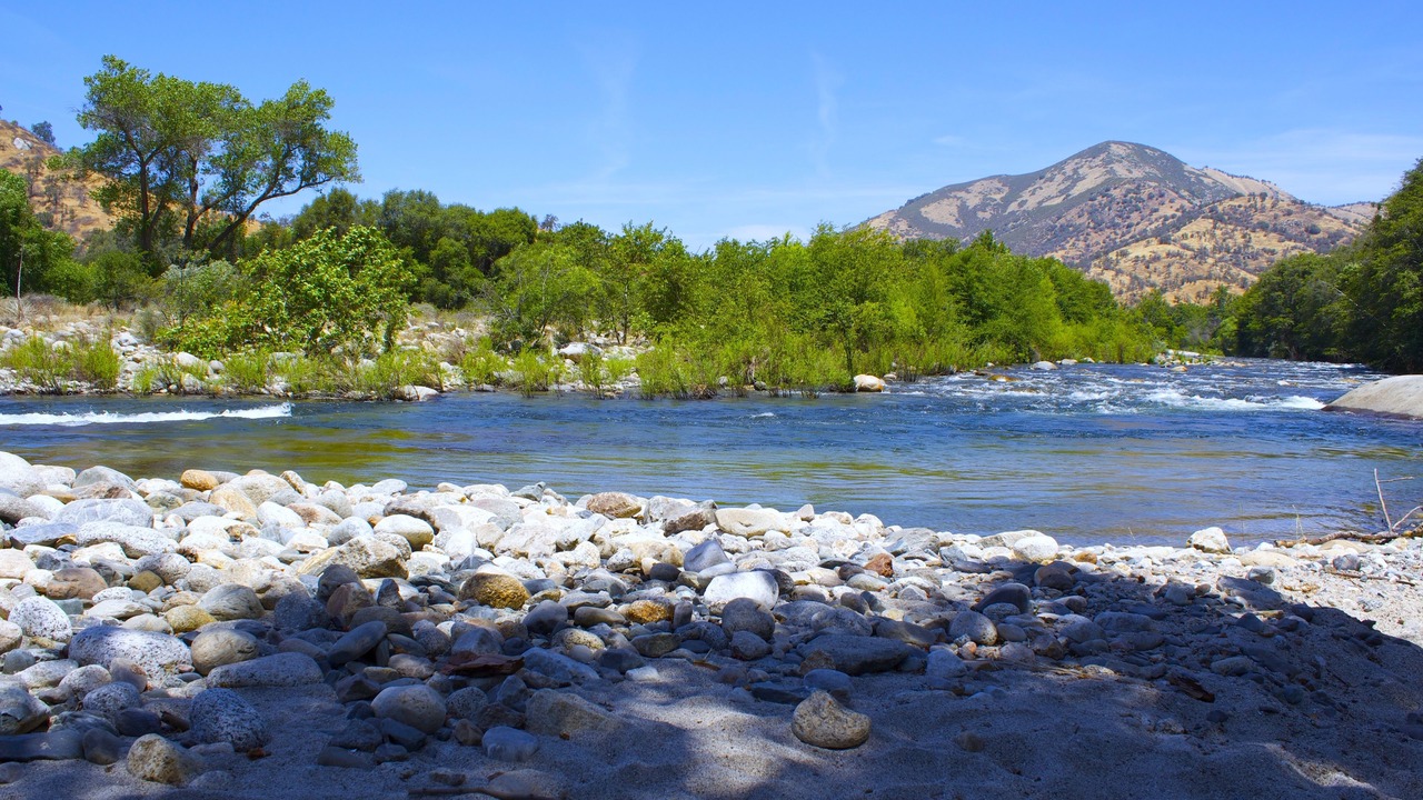 Photo of Others in Three Rivers