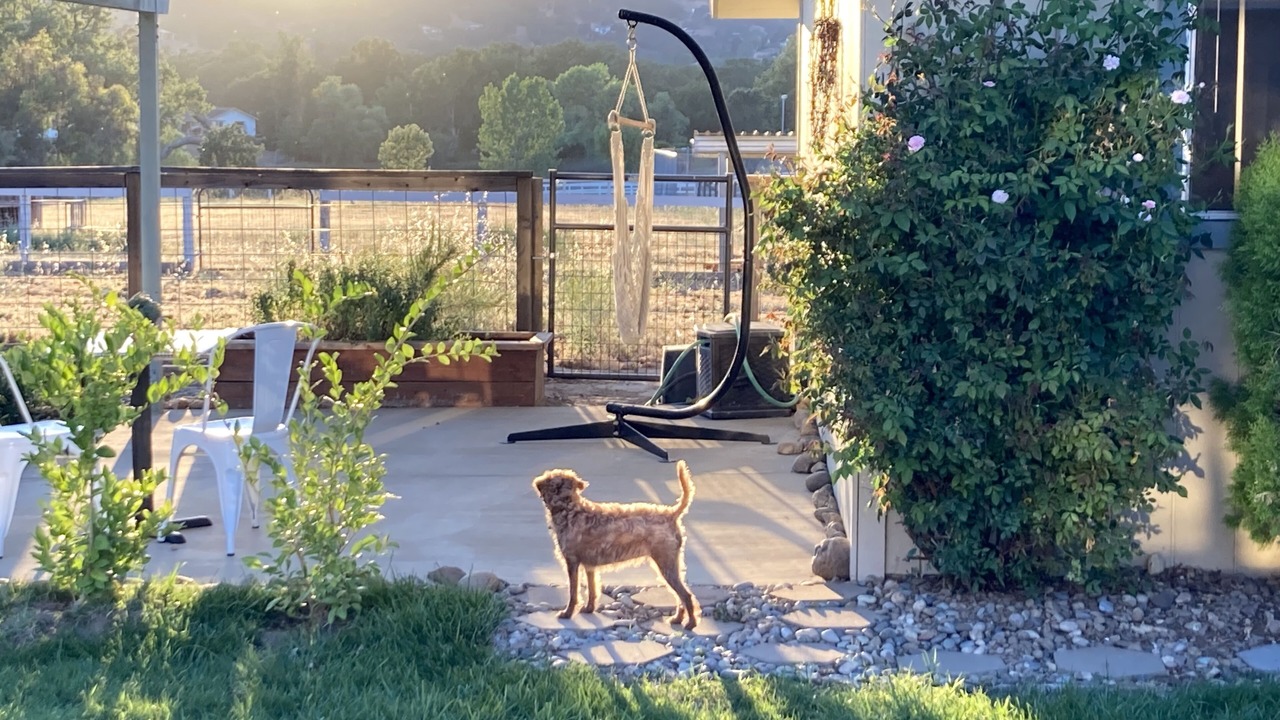 Photo of Outdoor in Atascadero