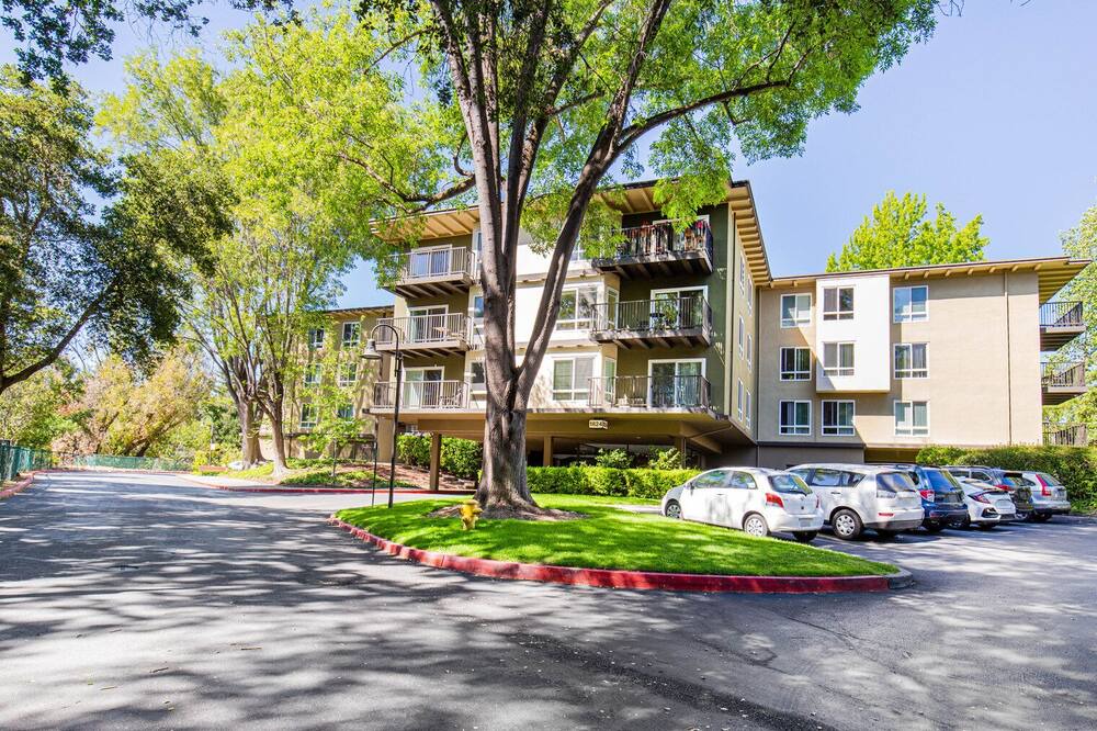 Photo of Outdoor in Palo Alto