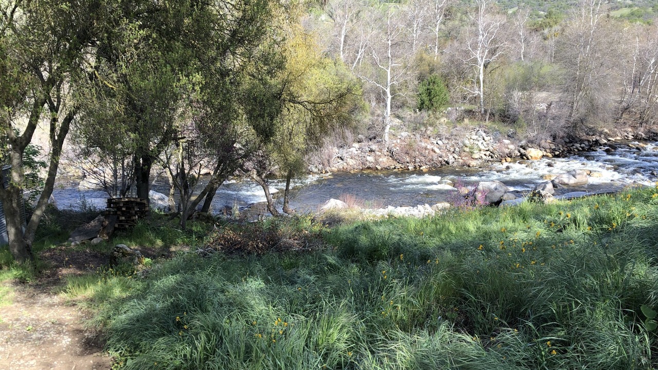 Photo of Outdoor in Three Rivers
