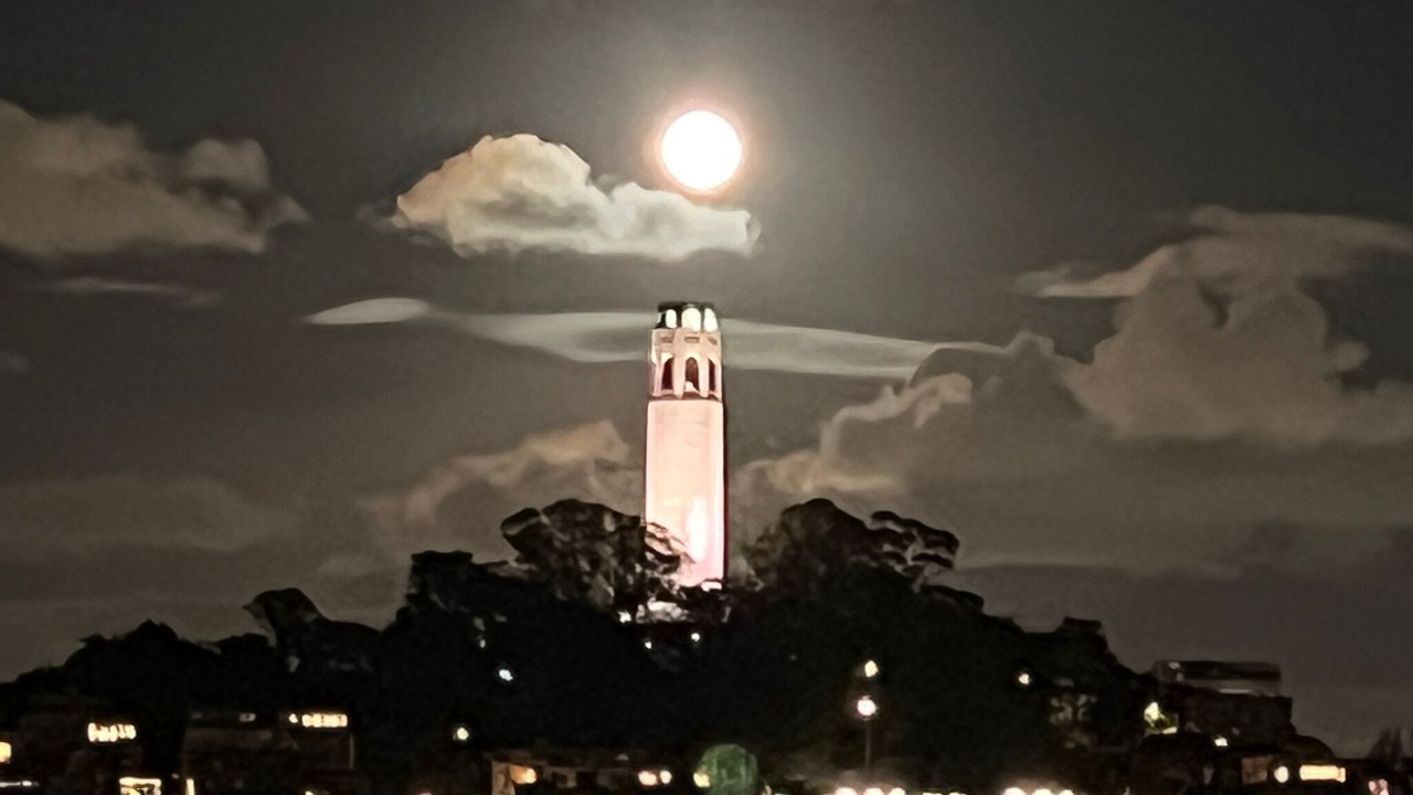 Photo of Outdoor in Russian Hill