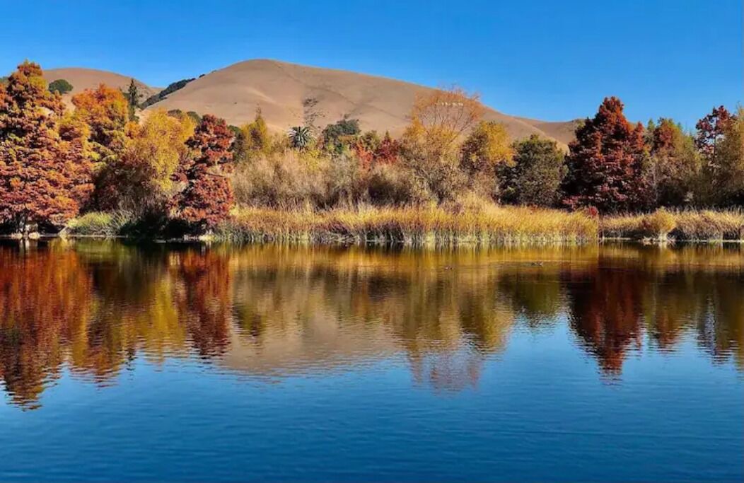 Photo of Outdoor in Niles District