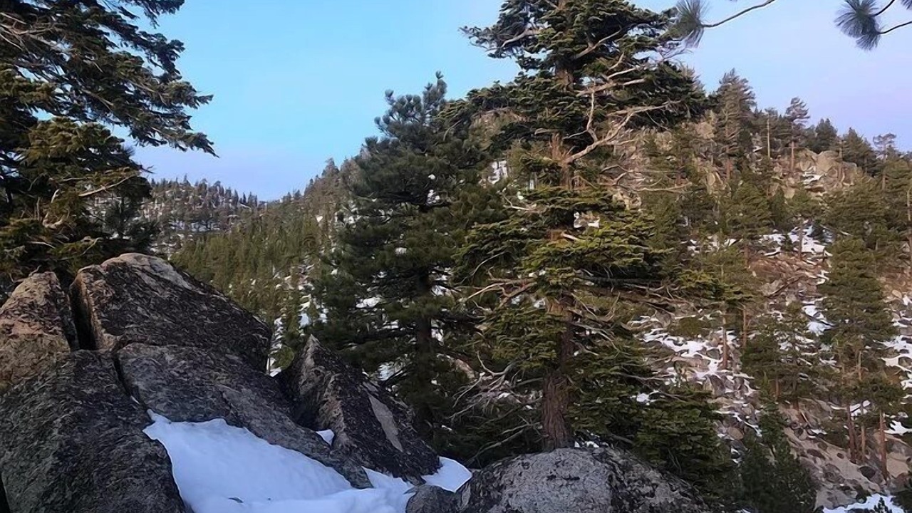 Photo of Outdoor in Upper Kingsbury