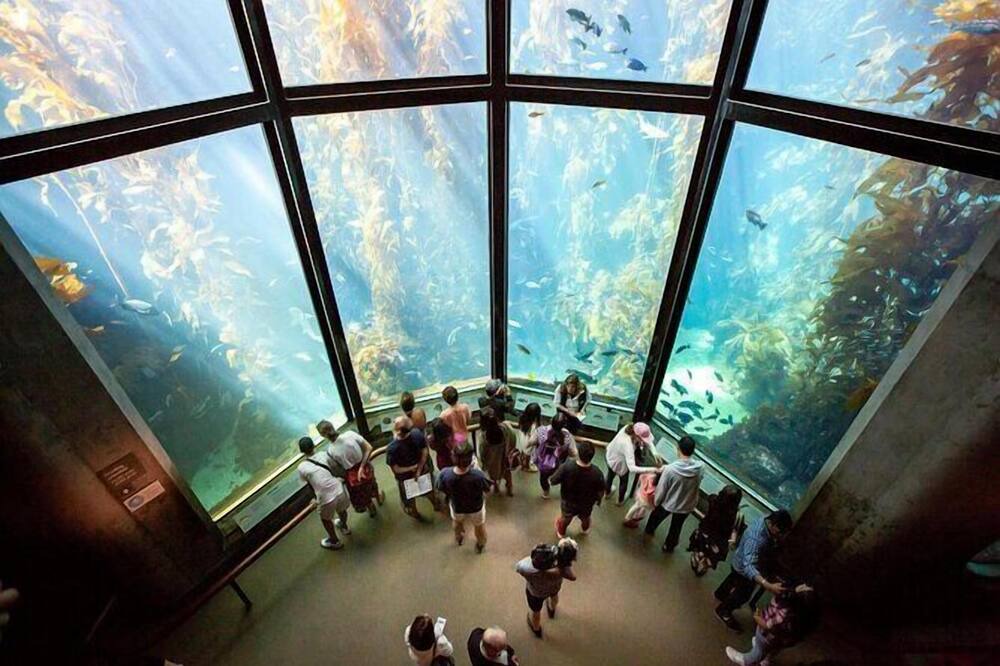 Photo of Others in Monterey