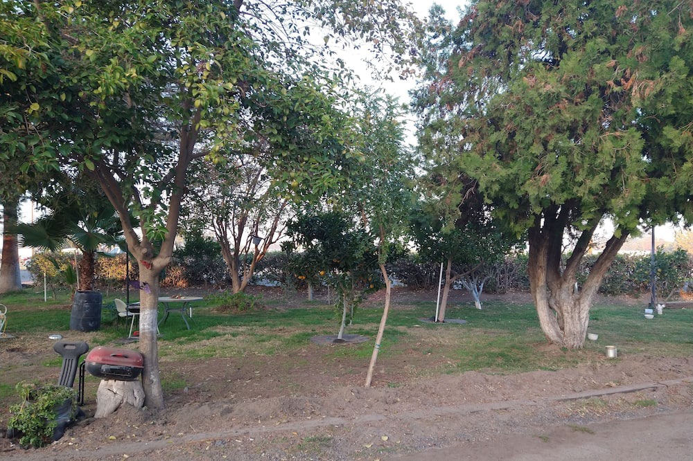 Photo of Outdoor in Turlock