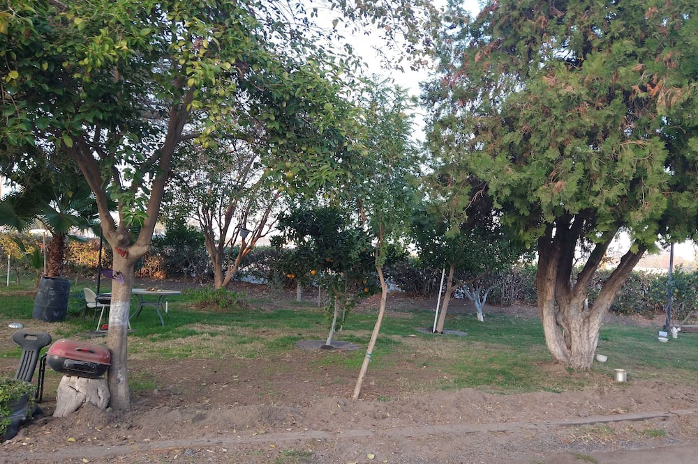 Photo of Livingroom in Turlock