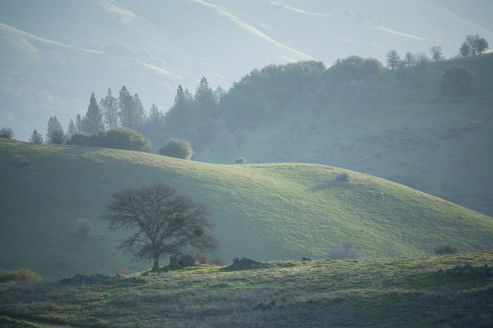 Photo of Others in Pilot Hill