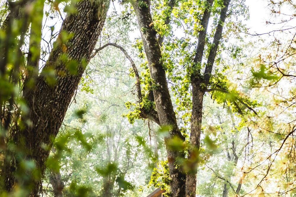 Photo of Outdoor in North Fork